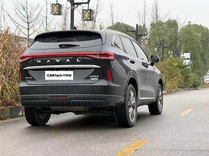 Haval H6 Hybrid 2023 2023款 DHT-PHEV 110KM 悦行版