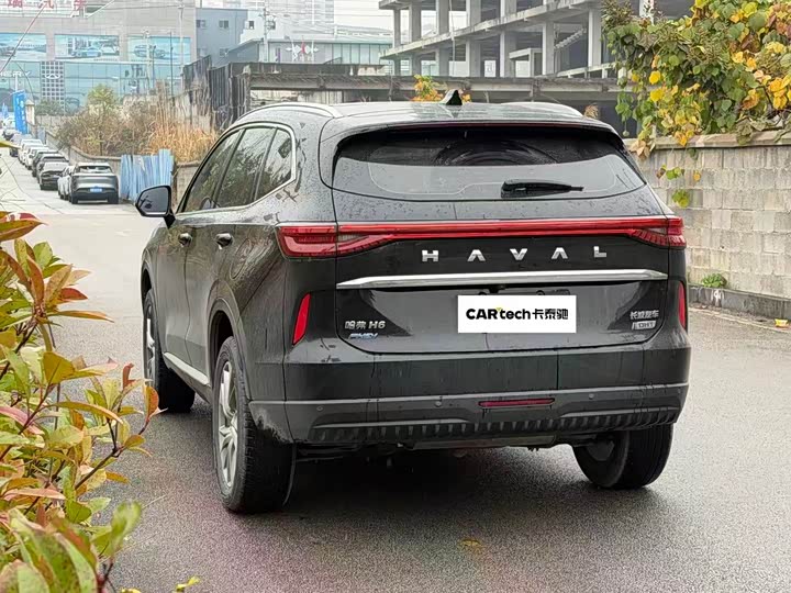 Haval H6 Hybrid 2023 2023款 DHT-PHEV 110KM 悦行版