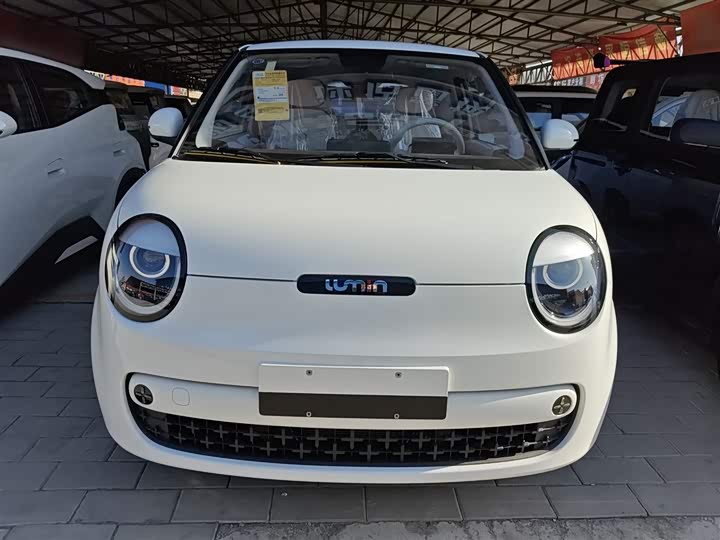 Changan Qiyuan (Nevo) Lumin 2026 2026款 宝藏版 205km 酷爱米 宁德