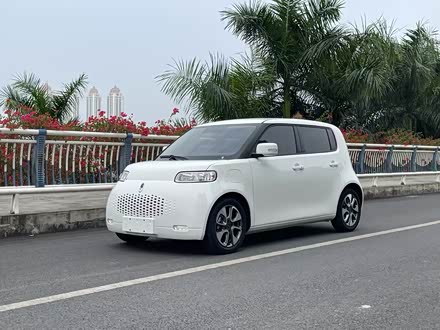 Ora White Cat 2020 2020款 305km 豪华型