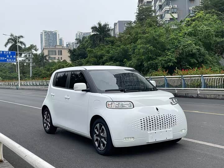 Ora White Cat 2020 2020款 305km 豪华型