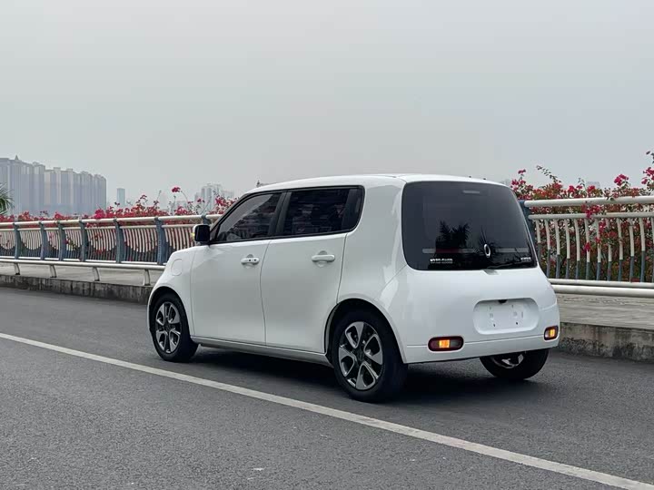 Ora White Cat 2020 2020款 305km 豪华型