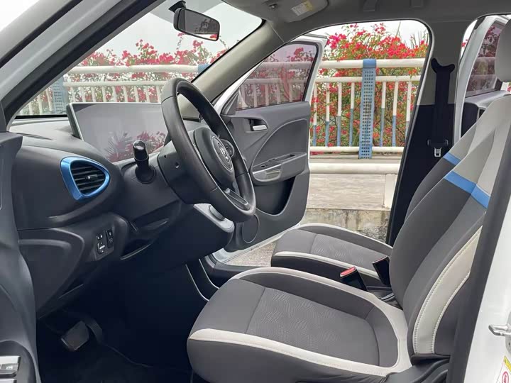 Ora White Cat 2020 2020款 305km 豪华型