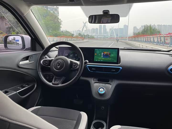 Ora White Cat 2020 2020款 305km 豪华型