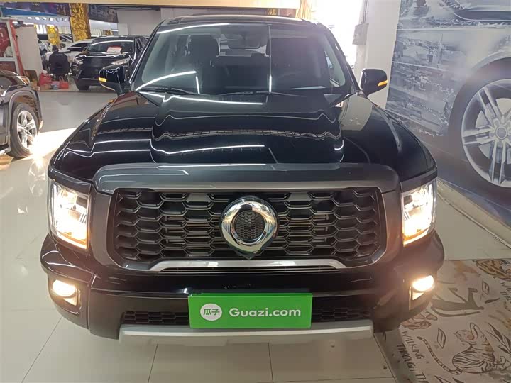 Great Wall King Kong Poer 2023 2023款 2.0T手动汽油两驱创业型标箱GW4C20C