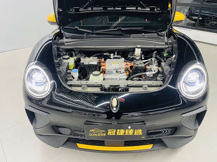 Ora Good Cat GT (03 GT) 2023 2023款 木兰版 401km 尊荣型