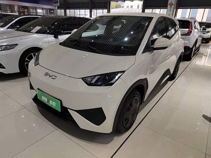 BYD Seagull 2025 2025款 智驾版 305km 活力版