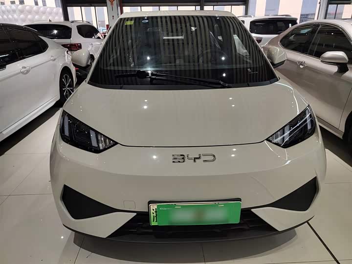 BYD Seagull 2025 2025款 智驾版 305km 活力版