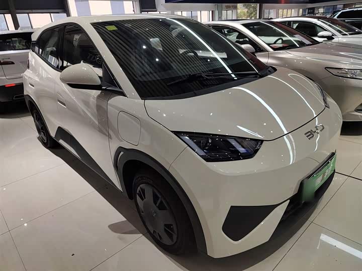 BYD Seagull 2025 2025款 智驾版 305km 活力版