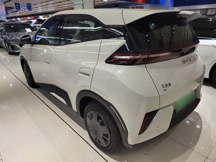 BYD Seagull 2025 2025款 智驾版 305km 活力版