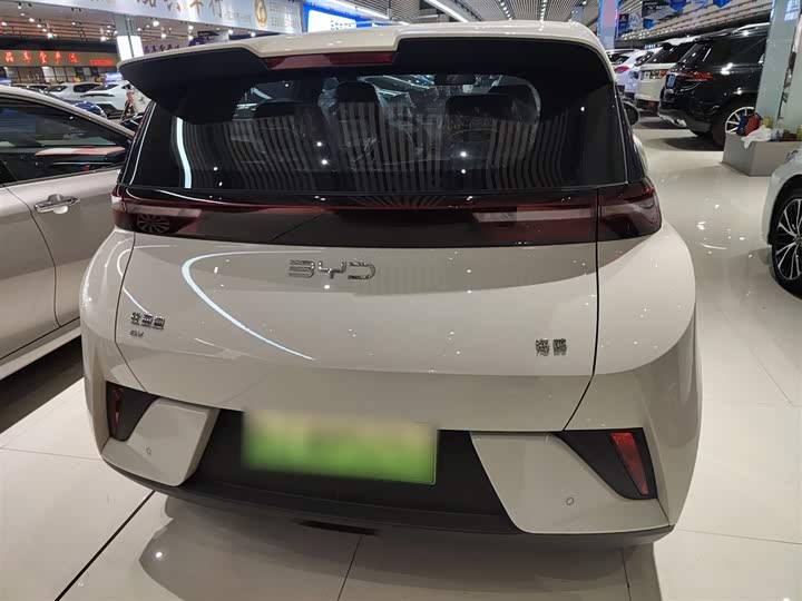 BYD Seagull 2025 2025款 智驾版 305km 活力版