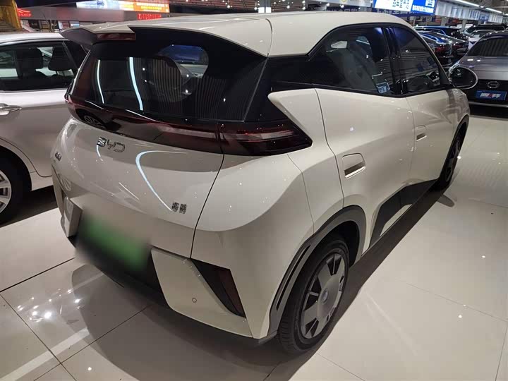 BYD Seagull 2025 2025款 智驾版 305km 活力版