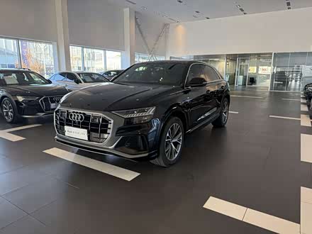 Audi Q8 2023 2023款 55 TFSI 臻选动感型