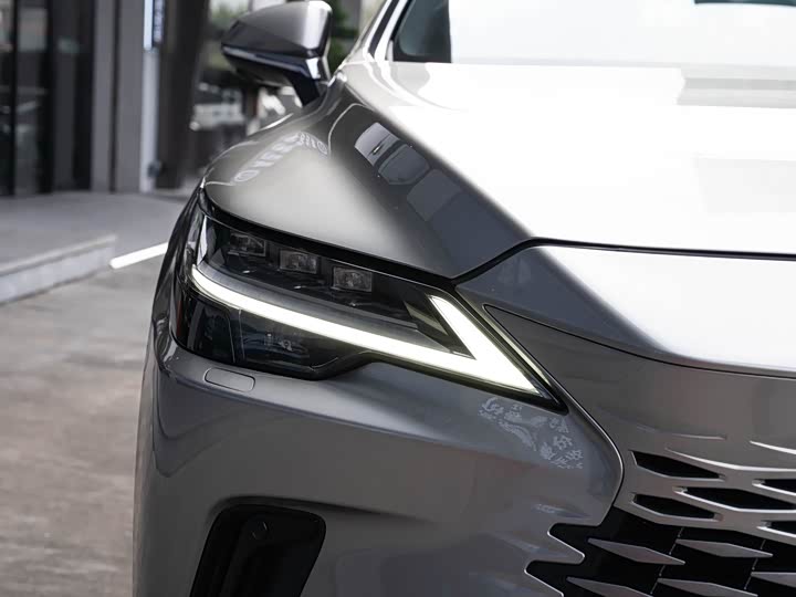 Lexus RX Hybrid 2023 2023款 450h+ 四驱畅享版