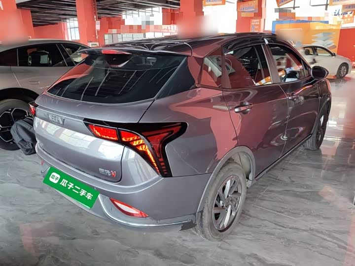 Hozon V 2022 2022款 潮 300 Lite 磷酸铁锂