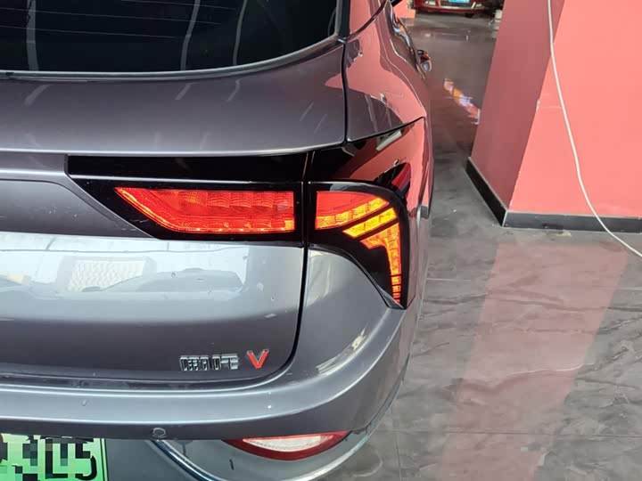 Hozon V 2022 2022款 潮 300 Lite 磷酸铁锂