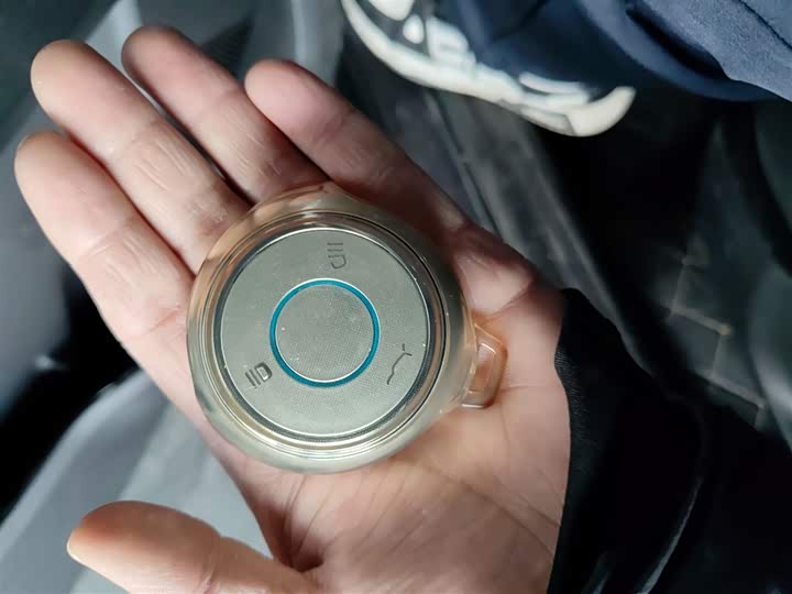 Hozon V 2022 2022款 潮 300 Lite 磷酸铁锂