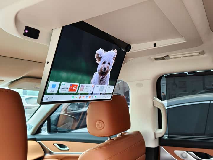 Wey Lanshan 2025 2025款 四驱智驾 Ultra