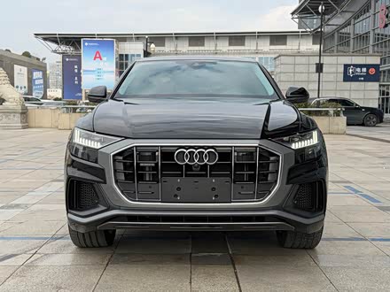 Audi Q8 2023 2023款 55 TFSI 豪华动感型
