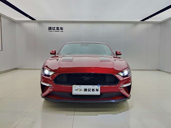 Ford Mustang 2021 2021款 2.3T EcoBoost 黑曜魅影特别版