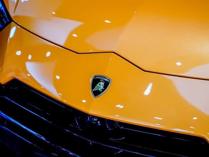 Lamborghini Urus 2023 2023款 4.0T V8 S