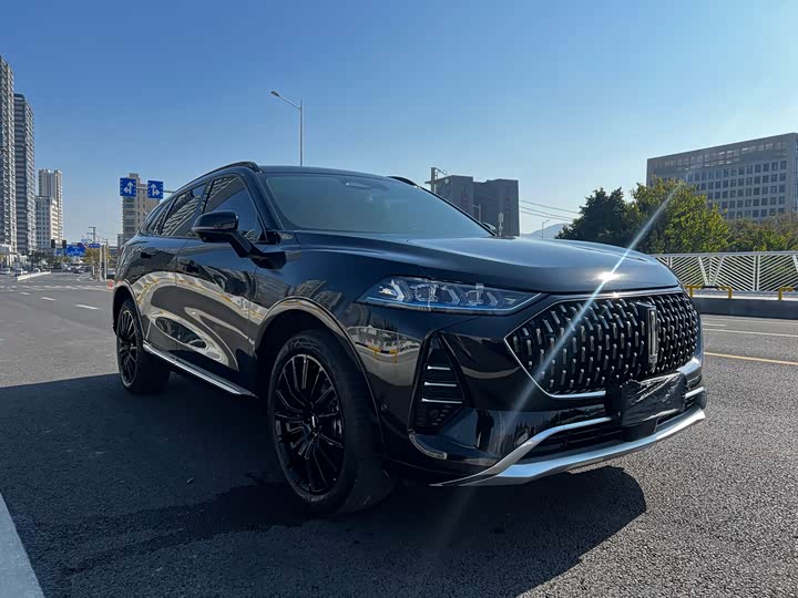 Wey Mocha 2021 2021款 2.0T 四驱特醇版