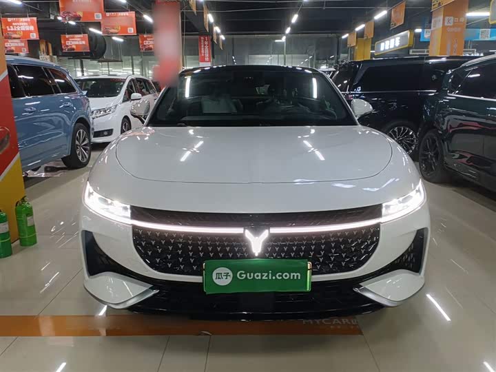 Voyah Passion 2024 2024款 PHEV 四驱超长续航行政版