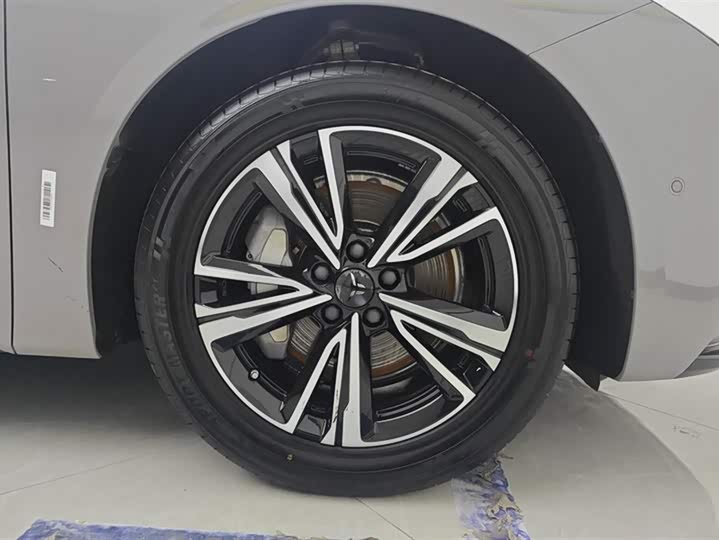 Hongqi EH7 2024 2024款 690 Pro