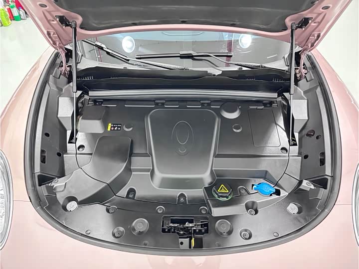 Ora Lightning Cat (07) 2022 2022款 555km 尊贵版