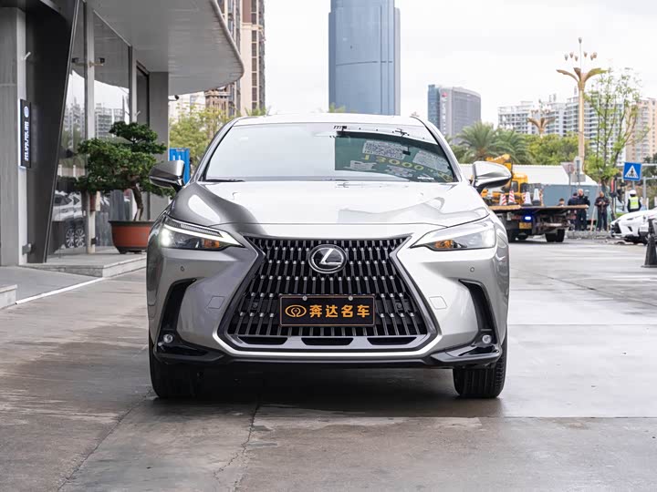 2025 Lexus NX