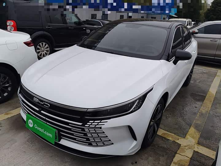 BYD Destroyer 05 2024 2024款 荣耀版 DM-i 120KM 豪华型