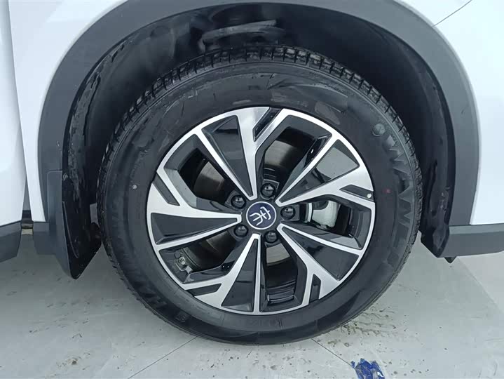 BYD Song Pro Hybrid 2025 2025款 第二代 DM-i 115KM超越型