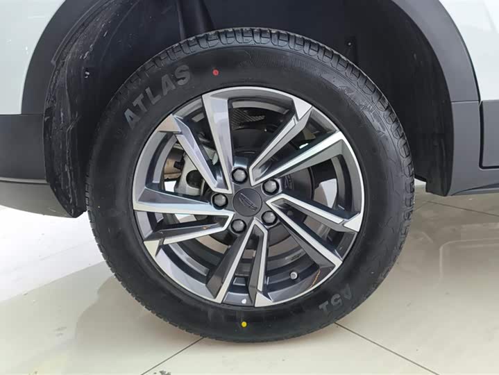 Geely Coolray 2023 2023款 1.5T DCT铂金版