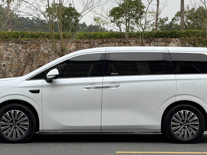 2025 BYD Xia