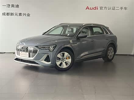 Audi e-tron 2021 2021款 50 quattro 豪华型