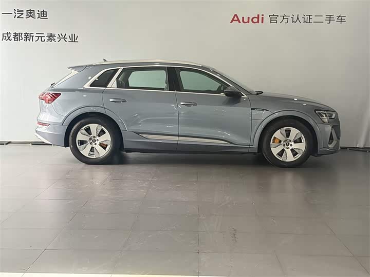 Audi e-tron 2021 2021款 50 quattro 豪华型