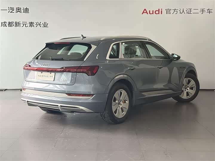 Audi e-tron 2021 2021款 50 quattro 豪华型