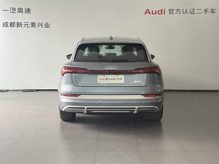 Audi e-tron 2021 2021款 50 quattro 豪华型