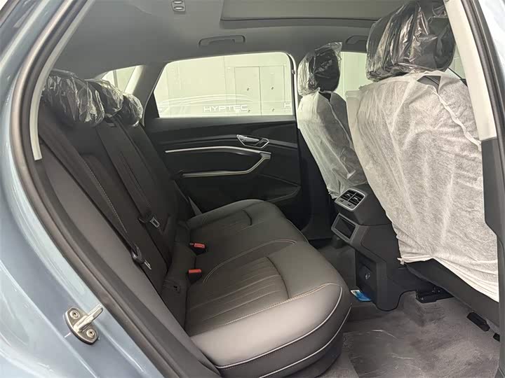 Audi e-tron 2021 2021款 50 quattro 豪华型