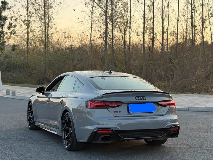 Audi RS 5 2024 2024款 RS 5 2.9T Sportback 燃擎版