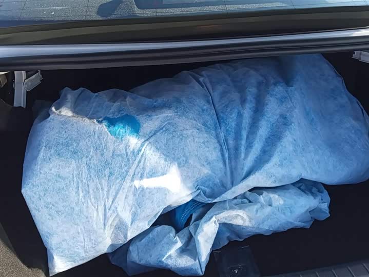 BYD Qin Plus 2025 2025款 DM-i 智驾版 55KM领先型