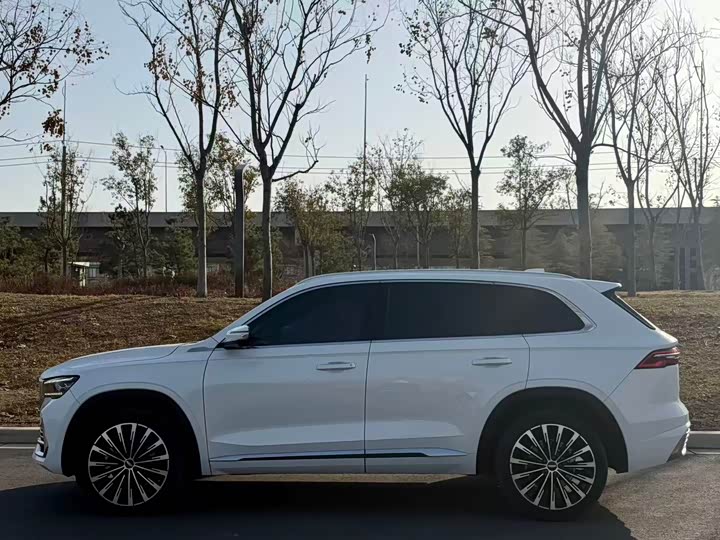 Geely Monjaro 2025 2025款 东方曜 2.0TD 自动揽星版