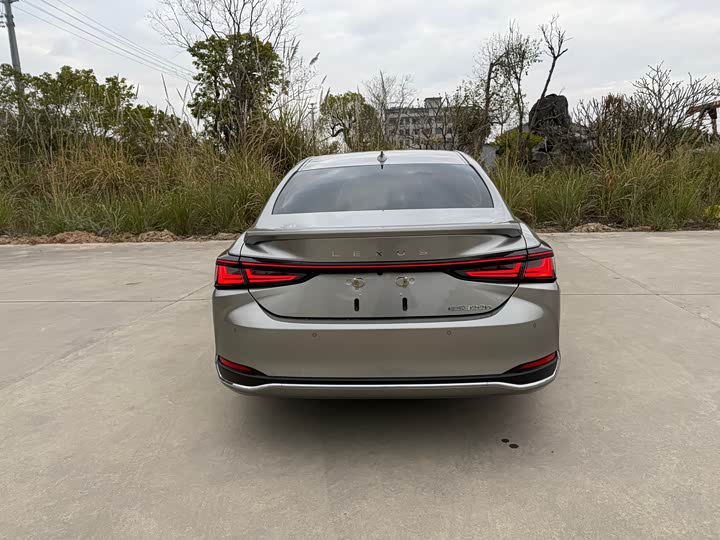 Lexus ES 2025 2025款 200 臻享版