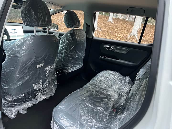 GAC Aion Y 2025 2025款 Plus 510 智豪版