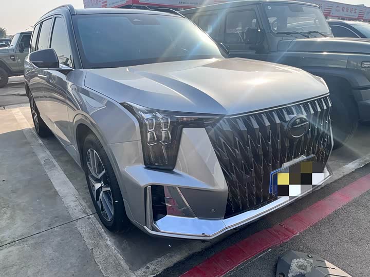 GAC Trumpchi GS8 2024 2024款 双擎系列 2.0TM 两驱尊贵版