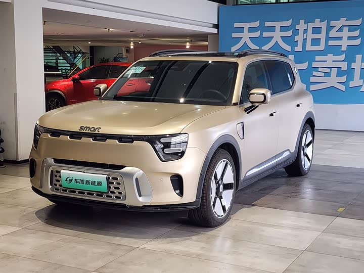 Smart #5 2024 2024款 超长续航奇旅 豪华版