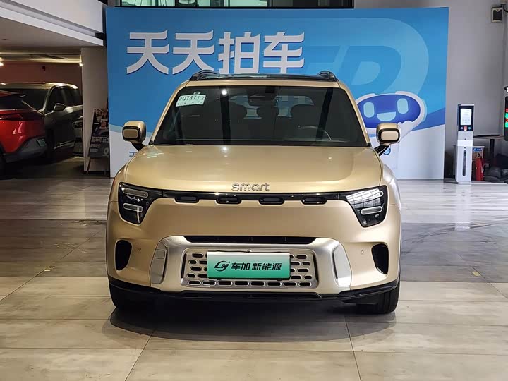 Smart #5 2024 2024款 超长续航奇旅 豪华版