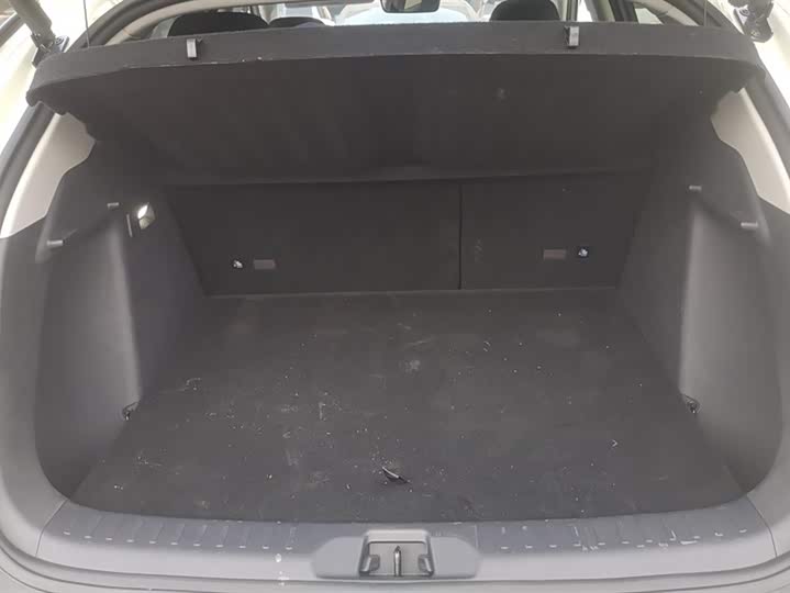 BYD Yuan Plus 2025 2025款 智驾版 510KM 超越型