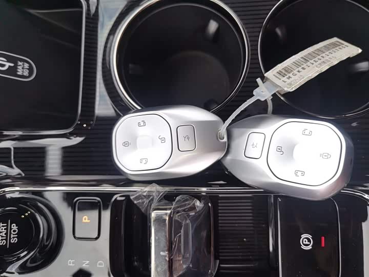 GAC Trumpchi E8 2024 2024款 150km MAX+