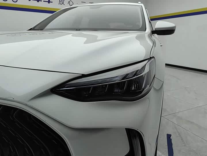 MG Motor Pilot 2021 2021款 300TGI 自动两驱燃动豪华版